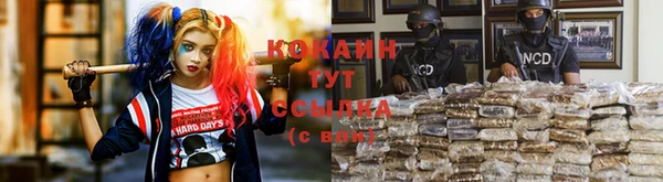 шишки Абаза
