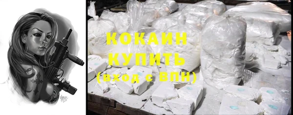 шишки Абаза