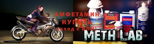 шишки Абаза