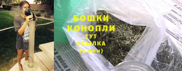 шишки Абаза
