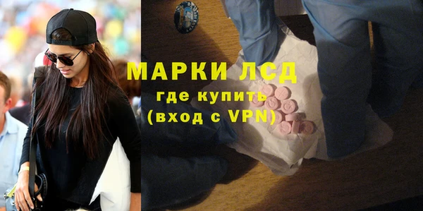 шишки Абаза