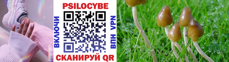 где найти наркотики Орск KRAKEN Псилоцибиновые грибы Psilocybine cubensis
